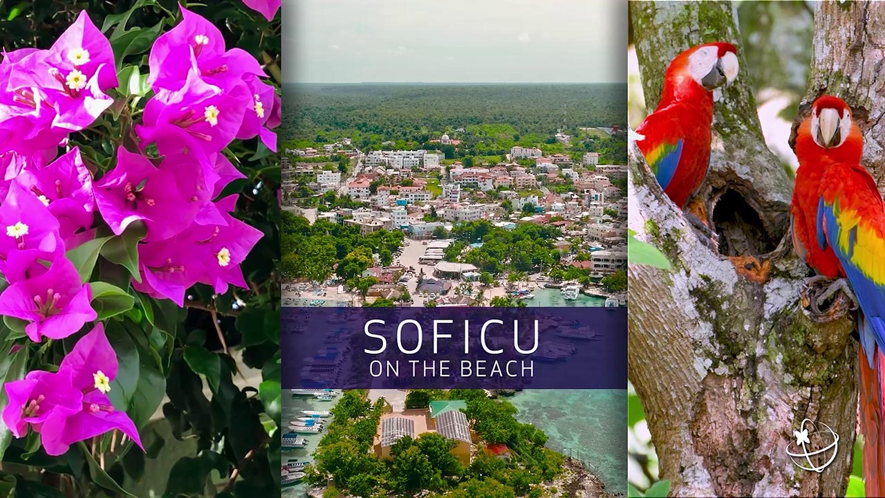 Hotel Soficu on the Beach