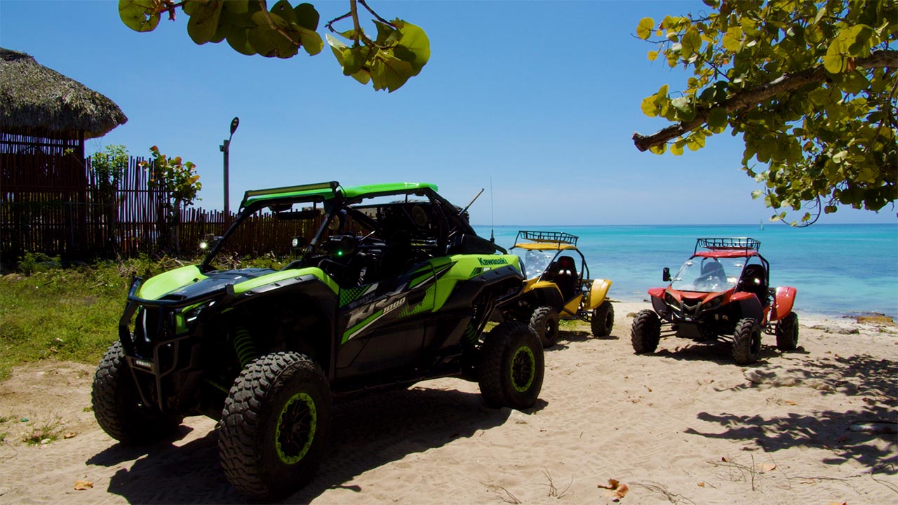 Disfruta la Experiencia Buggy