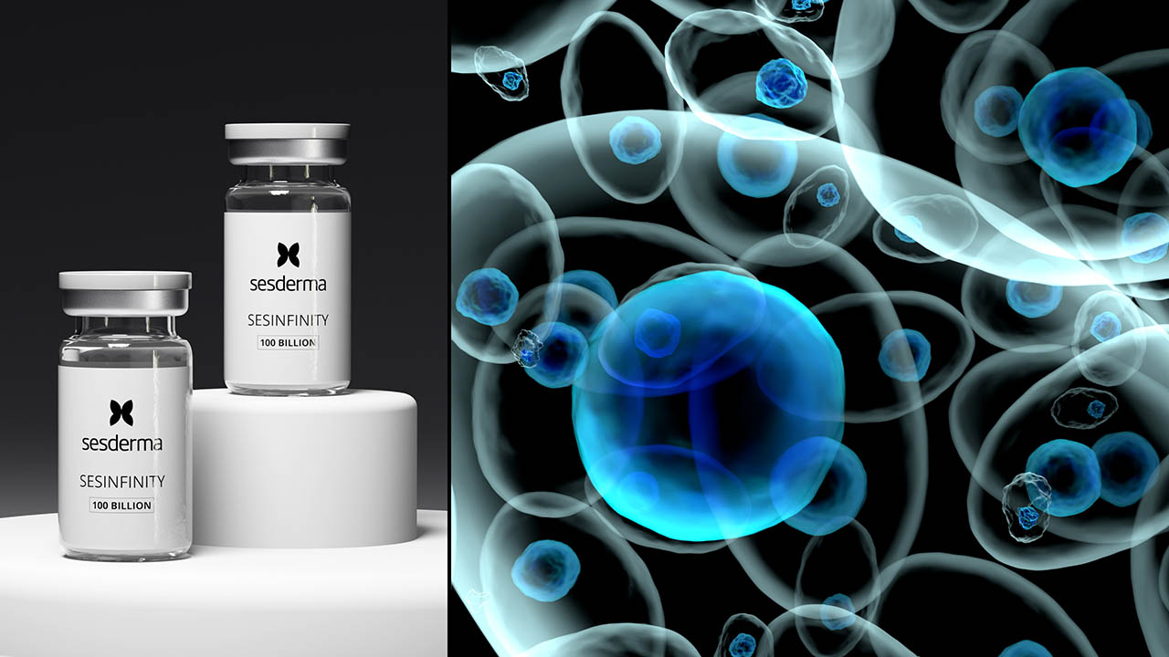 Exosomas & Células Madre